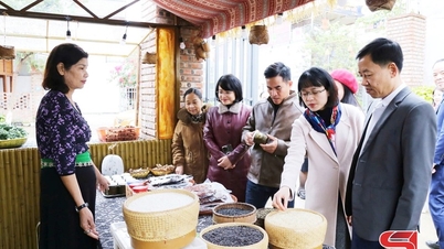 Mediální konference o kulturním prostoru „Barvy Moc Son“