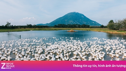 Szenen von Entenhüten, die an KI in Tay Ninh erinnern.