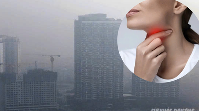 ទីក្រុងហូជីមិញកំពុងជួបប្រទះការកើនឡើងនៃជំងឺផ្លូវដង្ហើម និងត្រចៀក ច្រមុះ និងបំពង់ក ដោយសារតែការបំពុលខ្យល់។