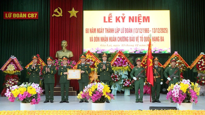 កងពលតូចវិស្វកម្មទី ៧ ទទួលបានគ្រឿងឥស្សរិយយសការពារជាតិថ្នាក់ទី ៣។