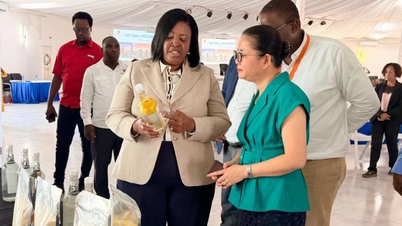 នេះបើកឱកាសជាច្រើនសម្រាប់កិច្ចសហប្រតិបត្តិការរវាងវៀតណាម និងខេត្ត Gaza នៃប្រទេសម៉ូសំប៊ិក។