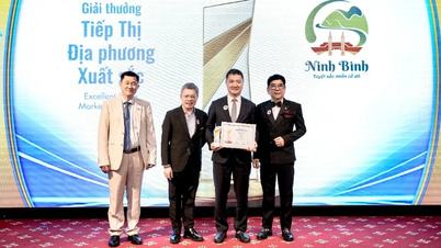 Ninh Binhs marknadsföringsstrategi för turism får enastående erkännande.
