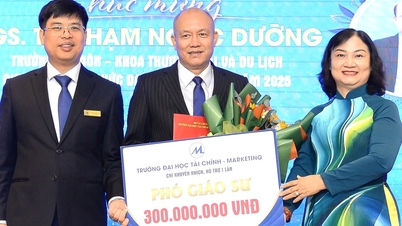 بہت سی یونیورسٹیاں نئے تعینات ہونے والے پروفیسرز اور ایسوسی ایٹ پروفیسرز کو بونس میں کروڑوں VND دے رہی ہیں۔