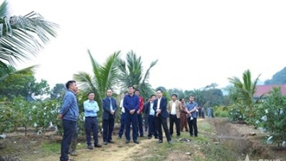 Κοινότητα Σον Βι (Τουγιέν Κουάνγκ): Μάθηση και ανταλλαγή εμπειριών σχετικά με την οικονομική ανάπτυξη που συνδέεται με τη βιώσιμη μείωση της φτώχειας.