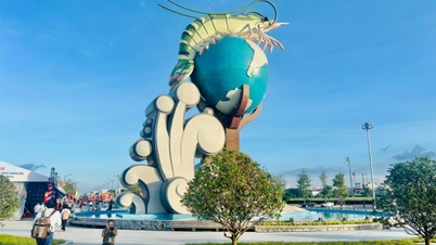 Cà Mau xây dựng kế hoạch tổ chức Festival Tôm lần II năm 2026