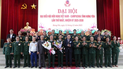 انجمن دوستی ویتنام و کامبوج در استان هونگ ین در حال سازماندهی مجدد ساختار خود است.