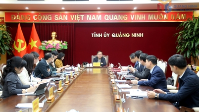 19 декабря в провинции Куанг Нинь одновременно стартуют 26 строительных проектов.