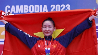 My Tam and Dinh Thi Huong won gold medals in karate at both SEA Games, showcasing their talent and beauty!