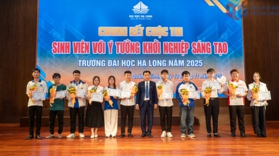 Araştırma-eğitim-inovasyon ekosistemine doğru.