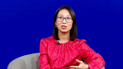 Perjanjian VIFTA: Meningkatkan institusi, memperluas peluang kerja sama antara Vietnam dan Israel.