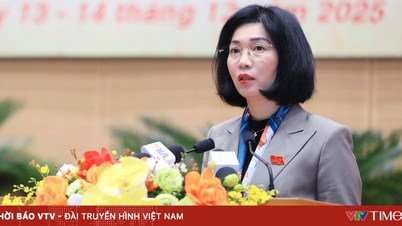 هانوی در حال بررسی طرح سرمایه‌گذاری برای بلوار منظره رودخانه سرخ و منطقه شهری ورزش‌های المپیک است.