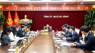 ខេត្ត Quang Ninh នឹងដាក់ឱ្យដំណើរការ និងសម្ពោធគម្រោងចំនួន ៣១ ក្នុងពេលដំណាលគ្នា។