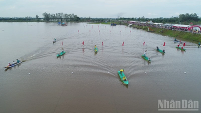 این جیانگ میں سیلاب کے موسم کے دوران سیاحت کا فائدہ اٹھانا۔