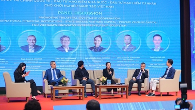 Compartiendo experiencias internacionales en la atracción de inversión para startups innovadoras.