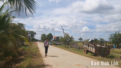 ईए रोक कम्यून 2025 में 1719 के बजट से प्राप्त धनराशि का उपयोग करके 5 अवसंरचना परियोजनाओं का रखरखाव और मरम्मत करेगा।