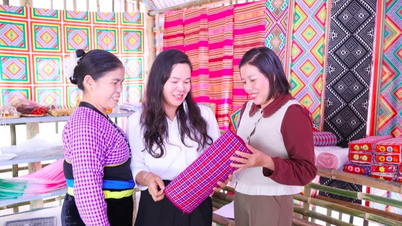 Multe modele eficiente răspândesc spiritul depășirii dificultăților și de îmbogățire printre femeile din Gia Phu, Son La.