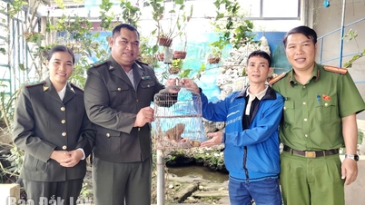 دریافت و رهاسازی یک لوریس کندروی کمیاب در منطقه حفاظت‌شده Ea Sô.