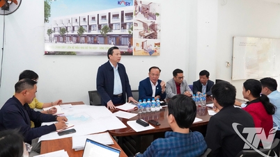 タイグエンにおけるKosy株式会社の2つのプロジェクトに関する苦情の検証。