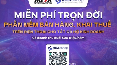 MISA, küçük işletmeler için ömür boyu ücretsiz satış ve vergi beyannamesi yazılımı sunmaktadır.