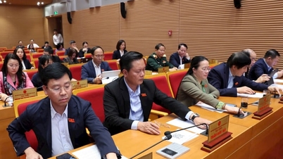 Hanoi otrzymuje 30% przychodów z praw do eksploatacji złóż mineralnych.