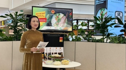 Η πρώτη Βιετναμέζικη Ημέρα Φο στη Βουλγαρία ήταν μια ζωντανή και συναρπαστική εκδήλωση.