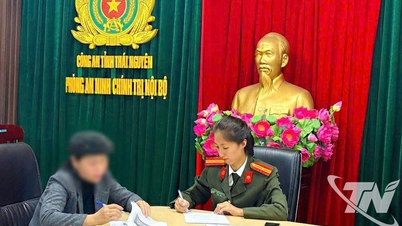 Řešení případů zveřejňování nepravdivých informací týkajících se fotbalového turnaje čtyř týmů.