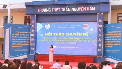 Hai Phong berusaha untuk menjadikan Bahasa Inggeris sebagai bahasa kedua di sekolah.