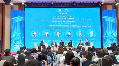Dong Nai deltar i det nationella policyforumet och internationellt samarbete om investeringar för innovativa startups.