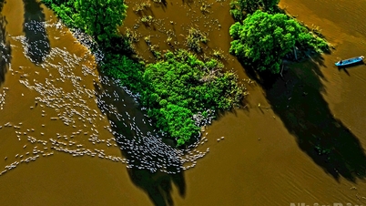 Το απέραντο Δέλτα του Μεκόνγκ κατά την περίοδο των πλημμυρών