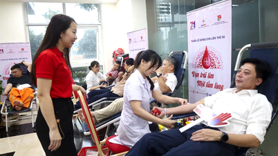 Tiếp nhận hơn 700 đơn vị máu từ Tuần lễ hồng EVN lần thứ XI năm 2025