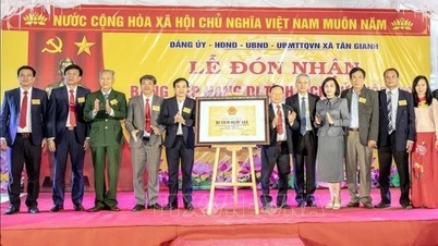 Trao Bằng xếp hạng Di tích quốc gia di tích lịch sử đền Song Trung và mộ Hoàng Vĩnh Tộ, Hoàng Vĩnh Dụ