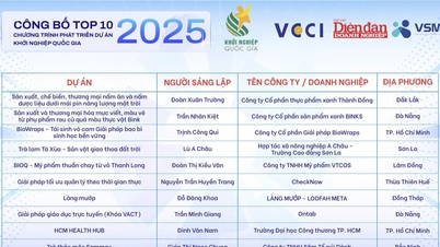 Da Nang'ın, 2025 Ulusal Girişimcilik Projesi Geliştirme Programı'nda ilk 10'a giren iki projesi bulunuyor.