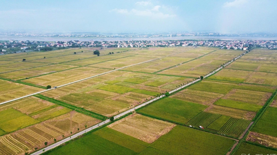 Towards ecological and circular agriculture.