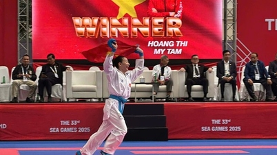 В'єтнамська команда з карате здобула низку золотих медалей на 33-х Іграх SEA.