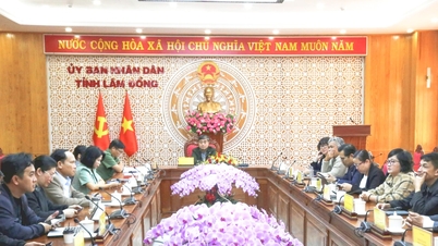 Το δικαστικό έργο ασκείται ολοκληρωμένα, συγχρονισμένα και αποτελεσματικά.