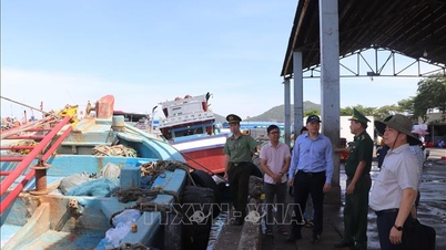 Ho Chi Minh City tightens management of fishing vessels that do not meet the requirements to go to sea.