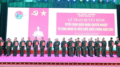 Le 15e corps d'armée a accueilli 143 soldats professionnels supplémentaires.