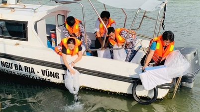 Η πόλη Χο Τσι Μινχ απελευθερώνει πάνω από 33.000 γόνο ψαριών για την αναπλήρωση των υδάτινων πόρων.