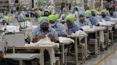 Güneydoğu Asya, Fransız işletmeleri için "stratejik bir dayanak noktası" haline geldi.