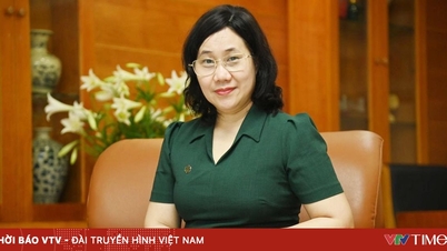 Tiga terobosan utama diperlukan untuk mengimplementasikan Undang-Undang yang mengubah dan menambah beberapa pasal dalam Undang-Undang Statistik.