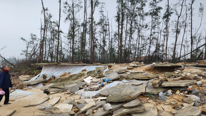 Embora a tempestade tenha passado há muito tempo, a paisagem e o meio ambiente ao longo da costa da província de Ha Tinh permanecem em desordem.