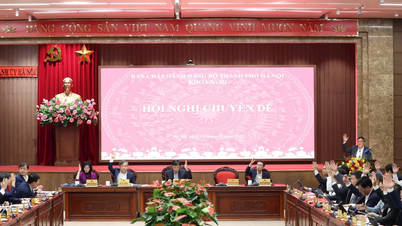 Hanoi is preparing to launch two large-scale urban development projects along the Red River and in the southern part of the city.