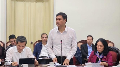 Der 11. Nationale Kongress der Ehrungs- und Patriotischen Bewegungen wird voraussichtlich 186 Helden und 100 nationale Ehrungskämpfer auszeichnen.