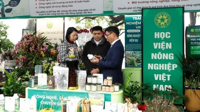 Φέρνοντας στην αγορά την επιστημονική έρευνα από την Ακαδημία Γεωργίας του Βιετνάμ.