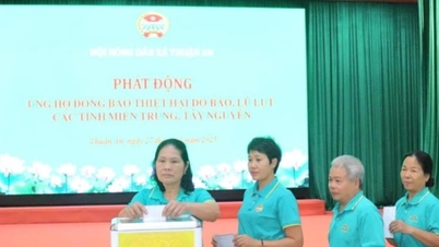 Thuan An gazdái összefognak a szegénység fenntartható felszámolása érdekében.