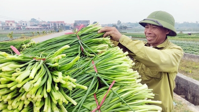 ルック・ナム：連携を拡大し、冬作物の価値を高めます。