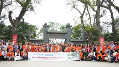 ホーチミン主席の故郷への愛情と感謝の気持ちが詰まった、ルーツへの旅。