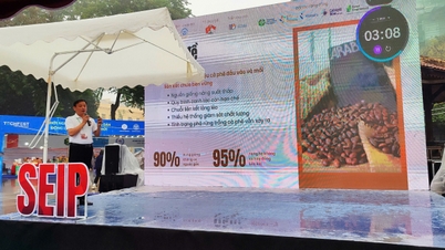 SEIP 2025: ویتنامی سماجی اداروں کے لیے ایک اختراعی پلیٹ فارم۔