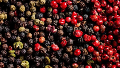 सप्ताह के अंत में मिर्च की कीमतों में भारी गिरावट आई।