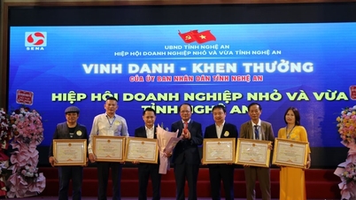 جشن بیستمین سالگرد انجمن استانی شرکت‌های کوچک و متوسط ​​Nghe An.